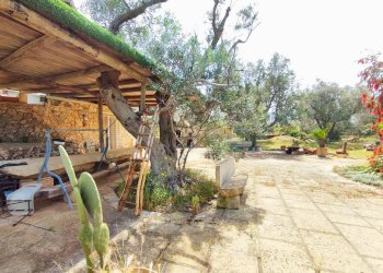 Foto 1 - Casa indipendente Sannicola - foto 1