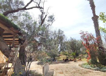 Foto 3 - Casa indipendente Sannicola - foto 3