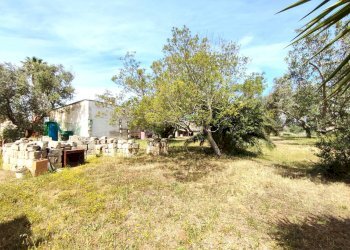 Foto 6 - Casa indipendente Sannicola - foto 6