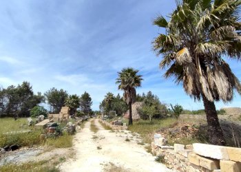 Foto 8 - Casa indipendente Sannicola - foto 8