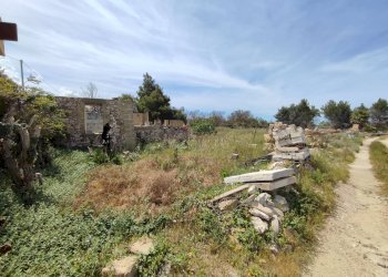 Foto 9 - Casa indipendente Sannicola - foto 9