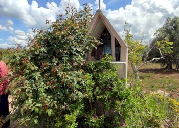 Foto 10 - Casa indipendente Sannicola - foto 10