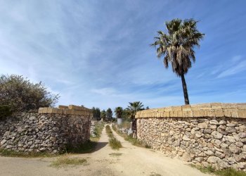 Foto 11 - Casa indipendente Sannicola - foto 11