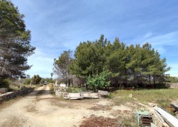 Foto 13 - Casa indipendente Sannicola - foto 13