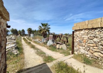 Foto 14 - Casa indipendente Sannicola - foto 14