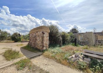 Foto 16 - Casa indipendente Sannicola - foto 16