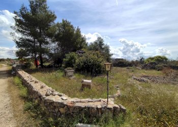 Foto 21 - Casa indipendente Sannicola - foto 21