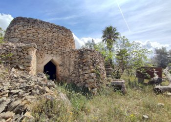 Foto 23 - Casa indipendente Sannicola - foto 23