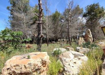 Foto 24 - Casa indipendente Sannicola - foto 24