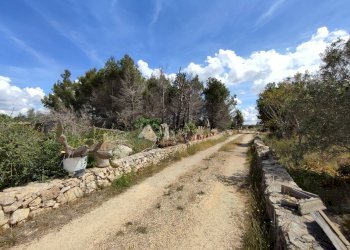 Foto 26 - Casa indipendente Sannicola - foto 26