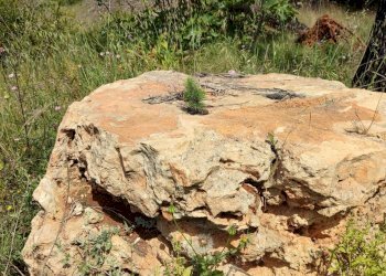 Foto 27 - Casa indipendente Sannicola - foto 27