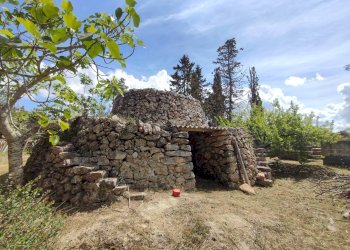 Foto 28 - Casa indipendente Sannicola - foto 28