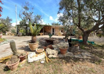 Foto 29 - Casa indipendente Sannicola - foto 29