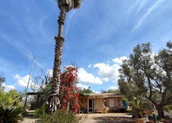 Foto 30 - Casa indipendente Sannicola - foto 30