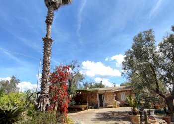 Foto 31 - Casa indipendente Sannicola - foto 31