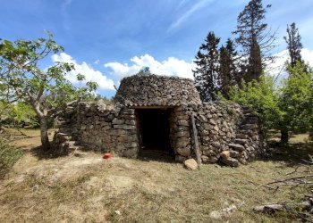 Foto 32 - Casa indipendente Sannicola - foto 32