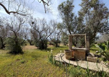 Foto 33 - Casa indipendente Sannicola - foto 33