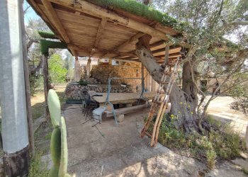 Foto 35 - Casa indipendente Sannicola - foto 35