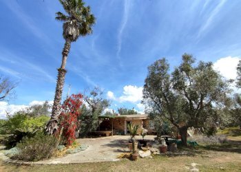 Foto 36 - Casa indipendente Sannicola - foto 36