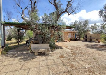 Foto 41 - Casa indipendente Sannicola - foto 41