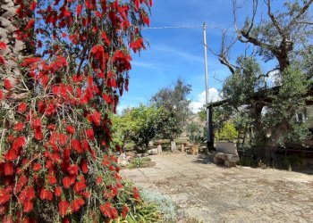 Foto 46 - Casa indipendente Sannicola - foto 46