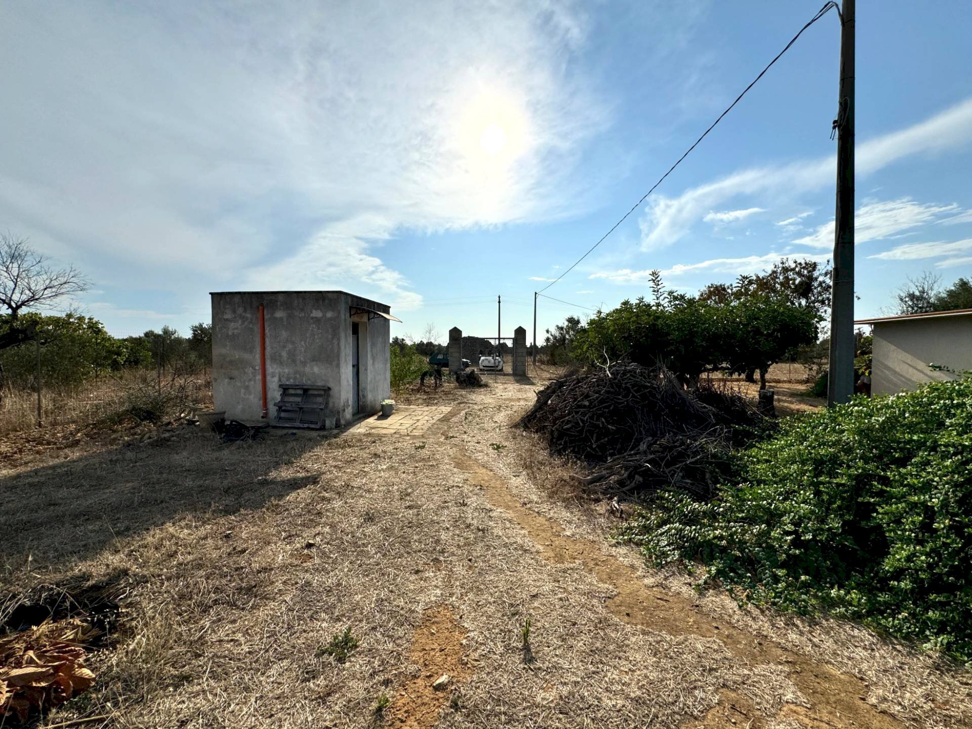 Foto 3 - Agricultural land Gallipoli - photo 3