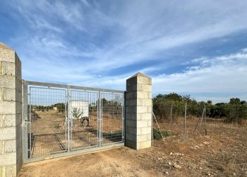 Foto 2 - Agricultural land Gallipoli - photo 2