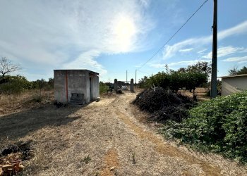 Foto 3 - Agricultural land Gallipoli - photo 3