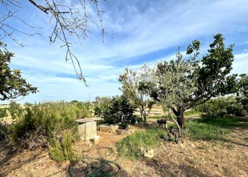 Foto 4 - Agricultural land Gallipoli - photo 4