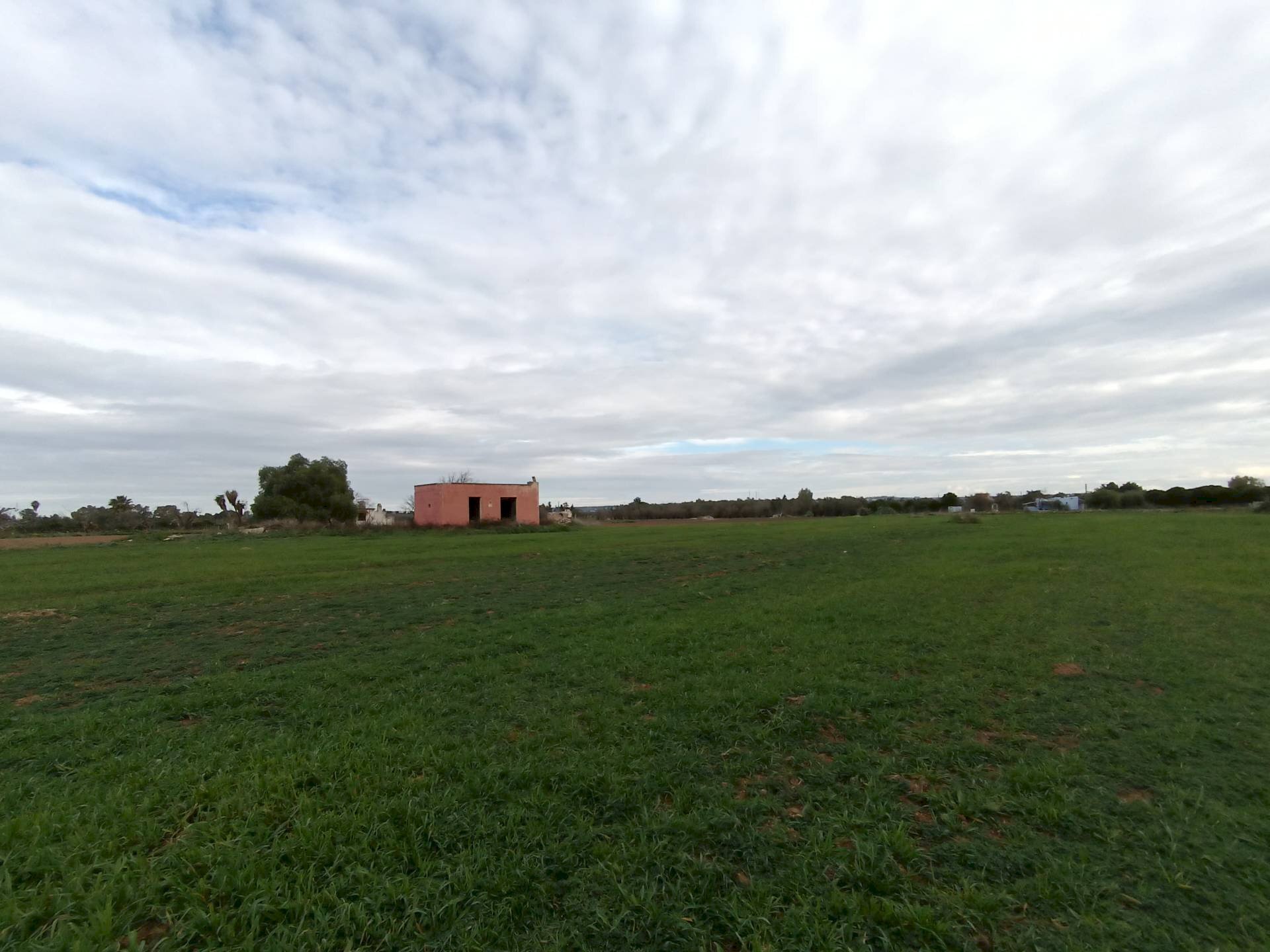 Foto 2 - Agricultural land Alezio - photo 2