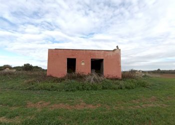 Foto 1 - Agricultural land Alezio - photo 1