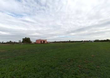 Foto 2 - Agricultural land Alezio - photo 2