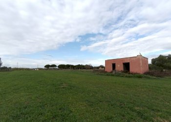 Foto 4 - Agricultural land Alezio - photo 4