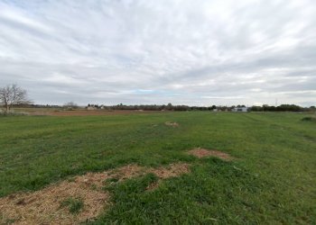 Foto 5 - Agricultural land Alezio - photo 5