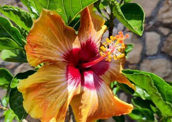 Foto 3 - Villa zona tre pietre, Galatone - foto 3