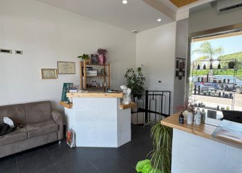 Foto 11 - Commercial Activity Alezio - photo 11