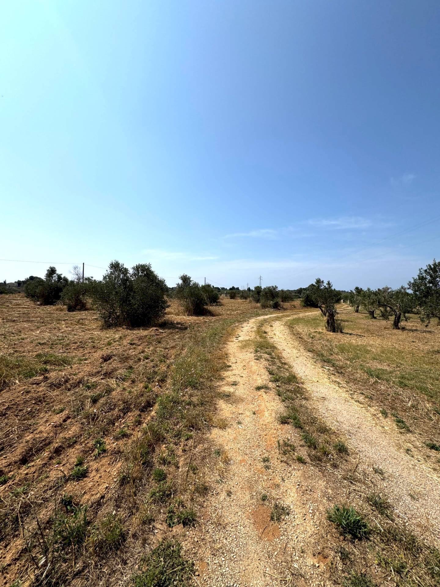 Foto 1 - Agricultural land Via per Sannicola, Sannicola - photo 1