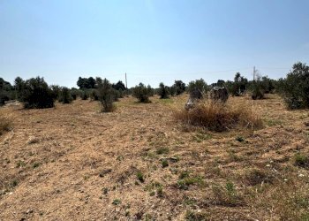 Foto 2 - Agricultural land Via per Sannicola, Sannicola - photo 2