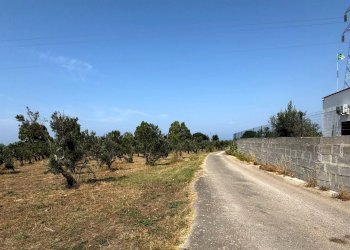 Foto 4 - Agricultural land Via per Sannicola, Sannicola - photo 4