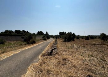 Foto 6 - Agricultural land Via per Sannicola, Sannicola - photo 6