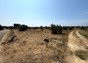 Foto 9 - Agricultural land Via per Sannicola, Sannicola - photo 9