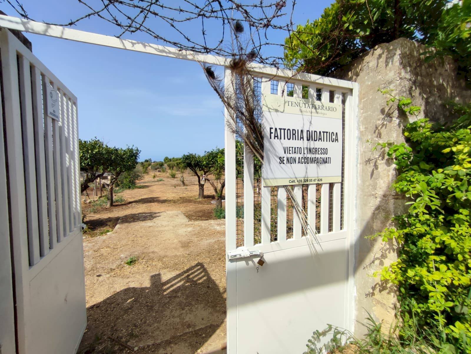 Foto 2 - Attività Commerciale contrada castellana, Alezio - foto 2