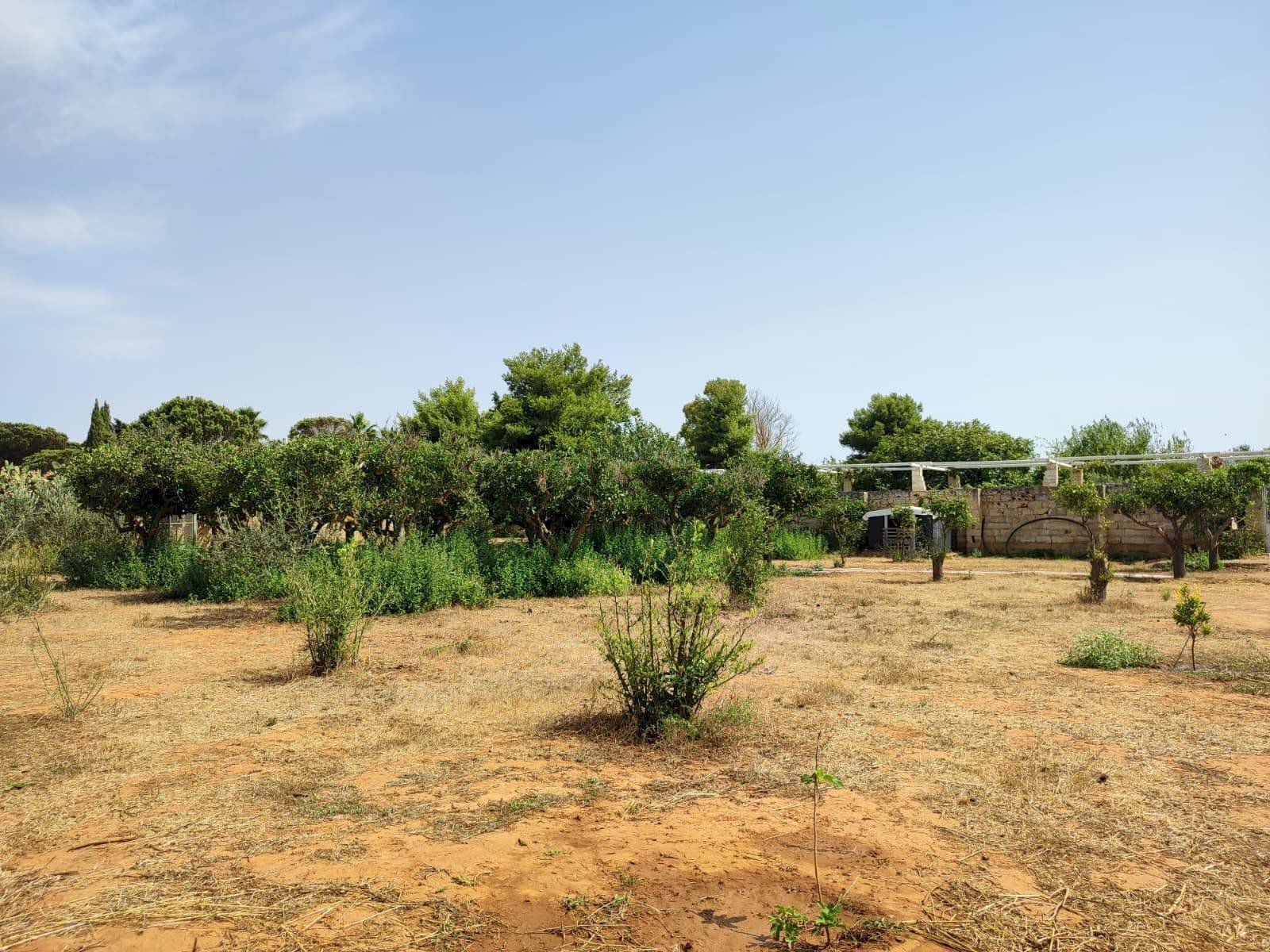 Foto 3 - Attività Commerciale contrada castellana, Alezio - foto 3