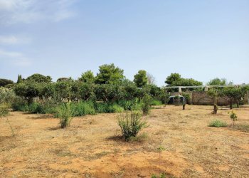 Foto 3 - Commercial Activity contrada castellana, Alezio - photo 3