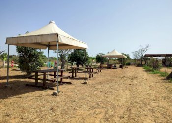 Foto 16 - Commercial Activity contrada castellana, Alezio - photo 16