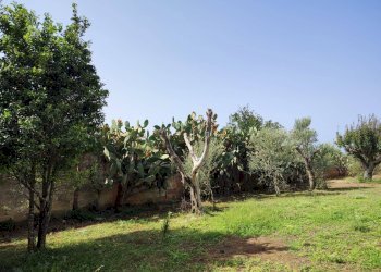 Foto 19 - Commercial Activity contrada castellana, Alezio - photo 19