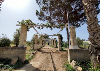 Foto 22 - Commercial Activity contrada castellana, Alezio - photo 22