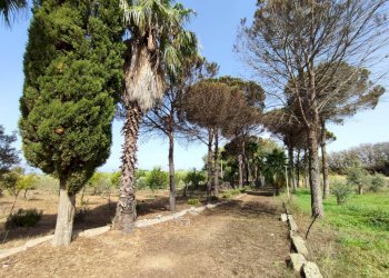 Foto 25 - Commercial Activity contrada castellana, Alezio - photo 25