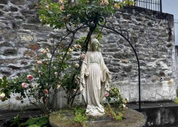 Terreno - Stabile - Palazzo Torino - foto 16