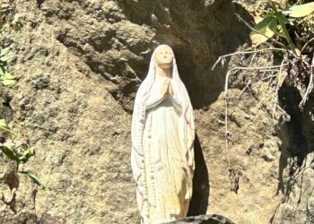 Terreno - Stabile - Palazzo Torino - foto 39